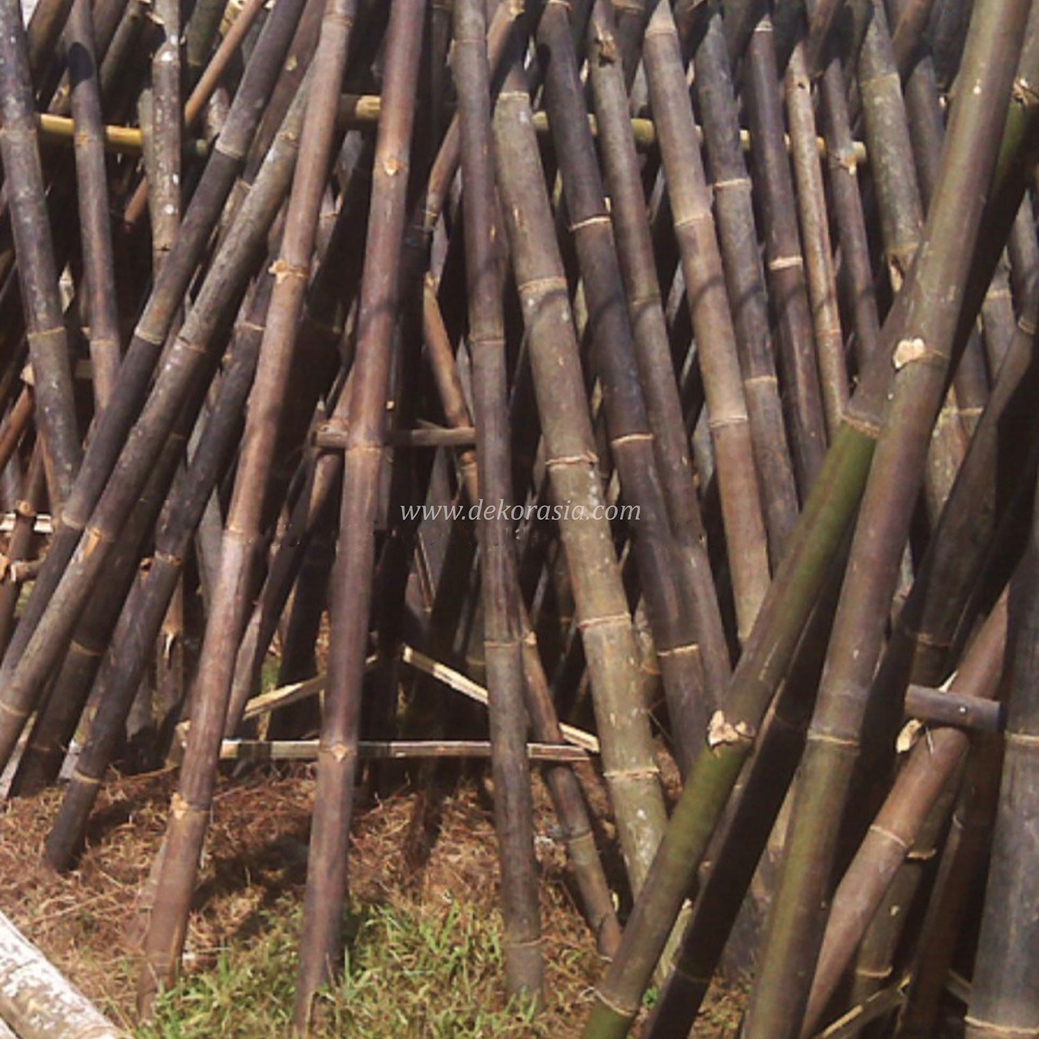 Black Bamboo Poles for Bamboo Fences and Bamboo Panels